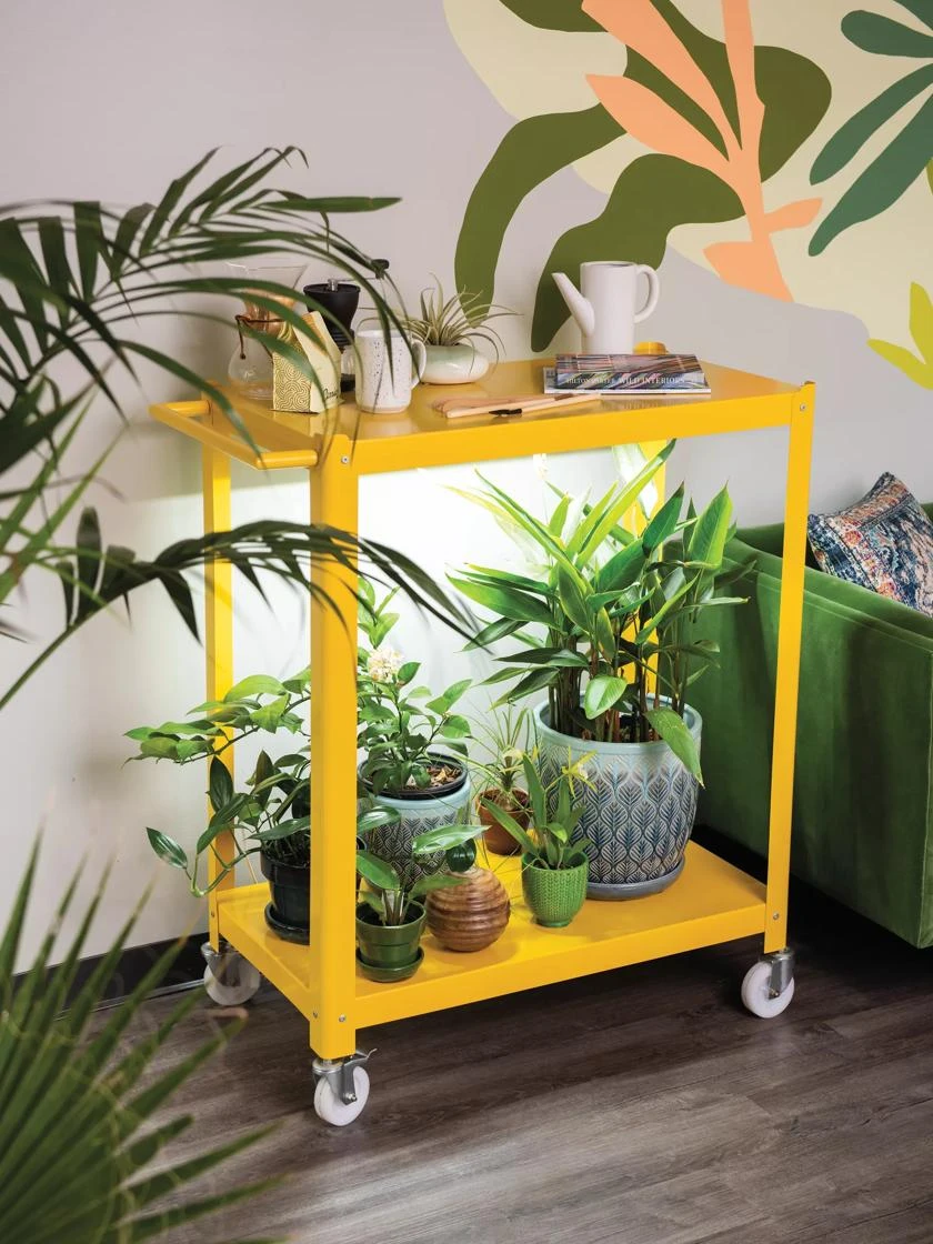 Mobile LED Grow Light Cart Mobile LED Grow Light Cart -Gardene Supply Sales 8611724 4076 mobile led grow light cart mango yellow metal tif