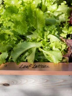 Re-Markable Raised Bed Trim -Gardene Supply Sales 8611757 326 tif