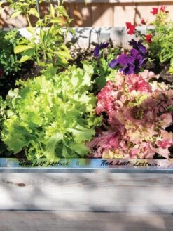 Re-Markable Raised Bed Trim -Gardene Supply Sales 8611758 306 tif