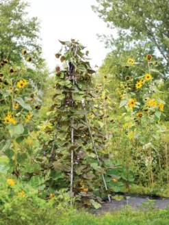 DIY Connector For Teepee Trellis 3 DIY Connector For Teepee Trellis -Gardene Supply Sales 8611896 062 tif