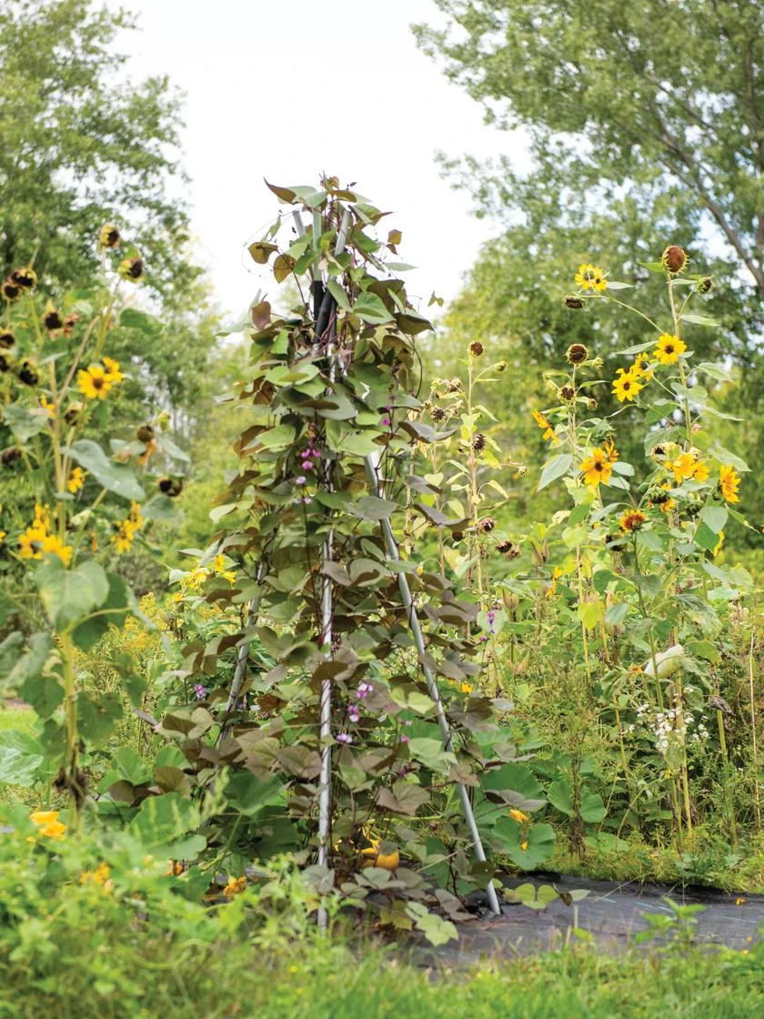 DIY Connector for Teepee Trellis DIY Connector For Teepee Trellis -Gardene Supply Sales 8611896 062 tif