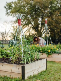 DIY Connector For Teepee Trellis 7 DIY Connector For Teepee Trellis -Gardene Supply Sales 8611896 38 tif