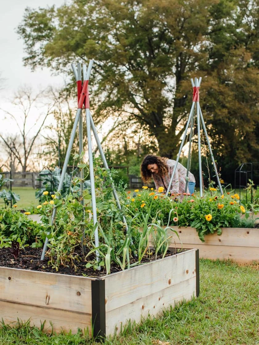 DIY Connector for Teepee Trellis DIY Connector For Teepee Trellis -Gardene Supply Sales 8611896 38 tif