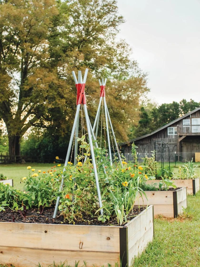 DIY Connector for Teepee Trellis DIY Connector For Teepee Trellis -Gardene Supply Sales 8611896 71 tif