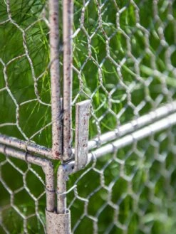 Chicken Wire Crop Coop Extension -Gardene Supply Sales 8611940 232 tif