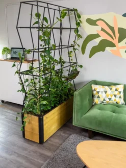 Self-Watering Partition Planter -Gardene Supply Sales 8611952 001 tif