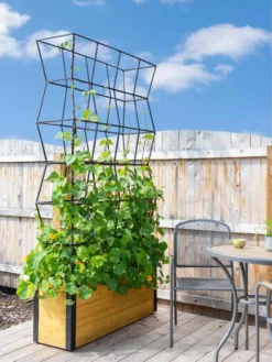 Self-Watering Partition Planter -Gardene Supply Sales 8611952 4825 tif
