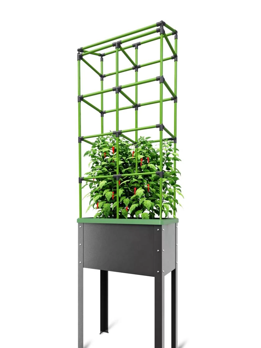 City Jungle® Tomato Trellis Extension Kit City Jungle® Tomato Trellis Extension Kit -Gardene Supply Sales 8611961 02V tif