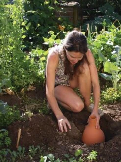 Hydro Max Watering System 2 Hydro Max Watering System -Gardene Supply Sales 8611967 15V tif