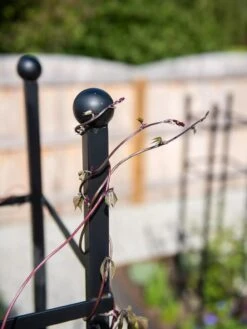 Essex Square Obelisk -Gardene Supply Sales 8611984 278 tif