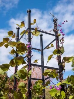 Essex Square Obelisk -Gardene Supply Sales 8611984 354 tif