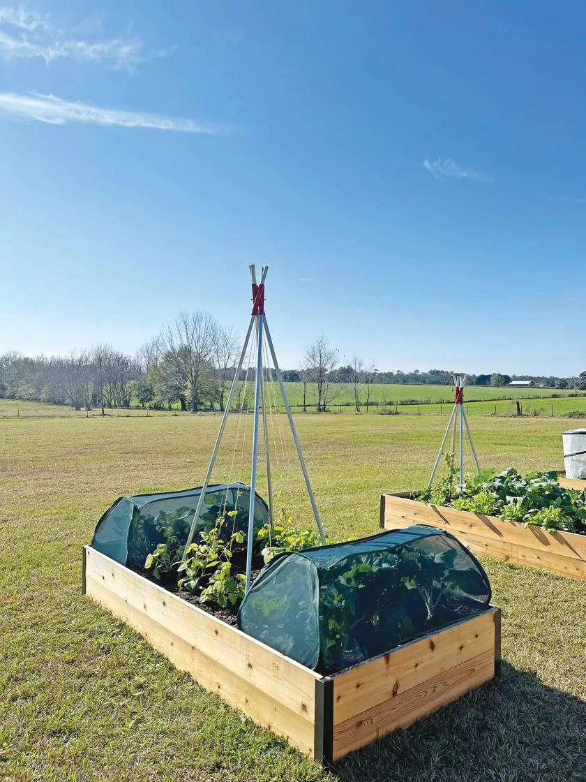 Insect and Pest Net Row Protector Insect And Pest Net Row Protector -Gardene Supply Sales 8611985 10 tif