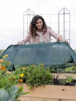 Insect And Pest Net Row Protector 4 Insect And Pest Net Row Protector -Gardene Supply Sales 8611985 8390 tif