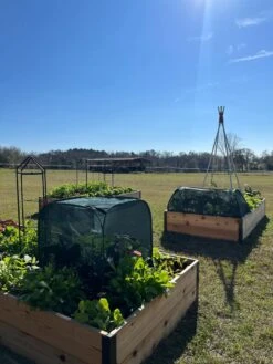 Pest Control Pop-Ups -Gardene Supply Sales 8611989 05 tif