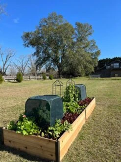 Pest Control Pop-Ups -Gardene Supply Sales 8611989 08 tif