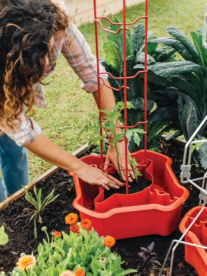 Deluxe Tomato Halos, Set of 2 Deluxe Tomato Halos, Set Of 2 -Gardene Supply Sales 8612045 135 tif