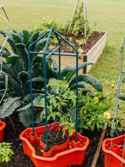 Deluxe Tomato Halos, Set Of 2 3 Deluxe Tomato Halos, Set Of 2 -Gardene Supply Sales 8612045 221 tif