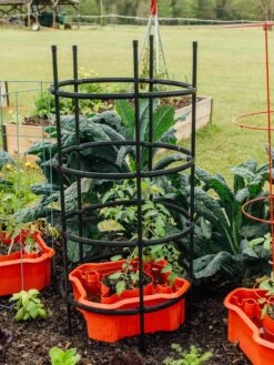 Deluxe Tomato Halos, Set Of 2 4 Deluxe Tomato Halos, Set Of 2 -Gardene Supply Sales 8612045 228 tif