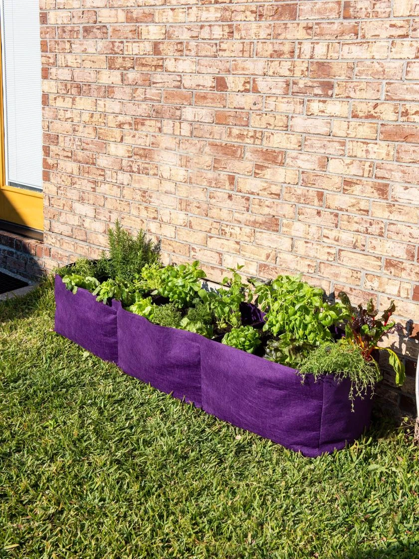 Smart Pot® Raised Bed Planter, Purple Smart Pot® Raised Bed Planter, Purple -Gardene Supply Sales 8612142 6347 tif