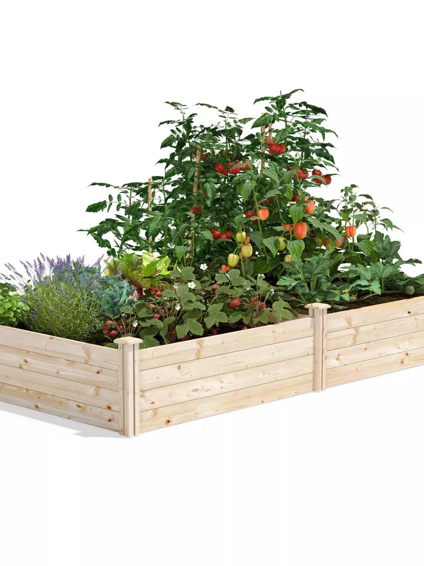 Pine Raised Garden Beds, 4'x8' Pine Raised Garden Beds, 4'x8' -Gardene Supply Sales 8612238 02V jpg
