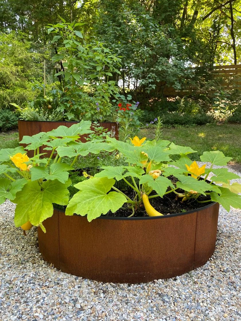 Birdies™ Corten Steel Round Raised Beds Birdies™ Corten Steel Round Raised Beds -Gardene Supply Sales 8612422 0484 tif