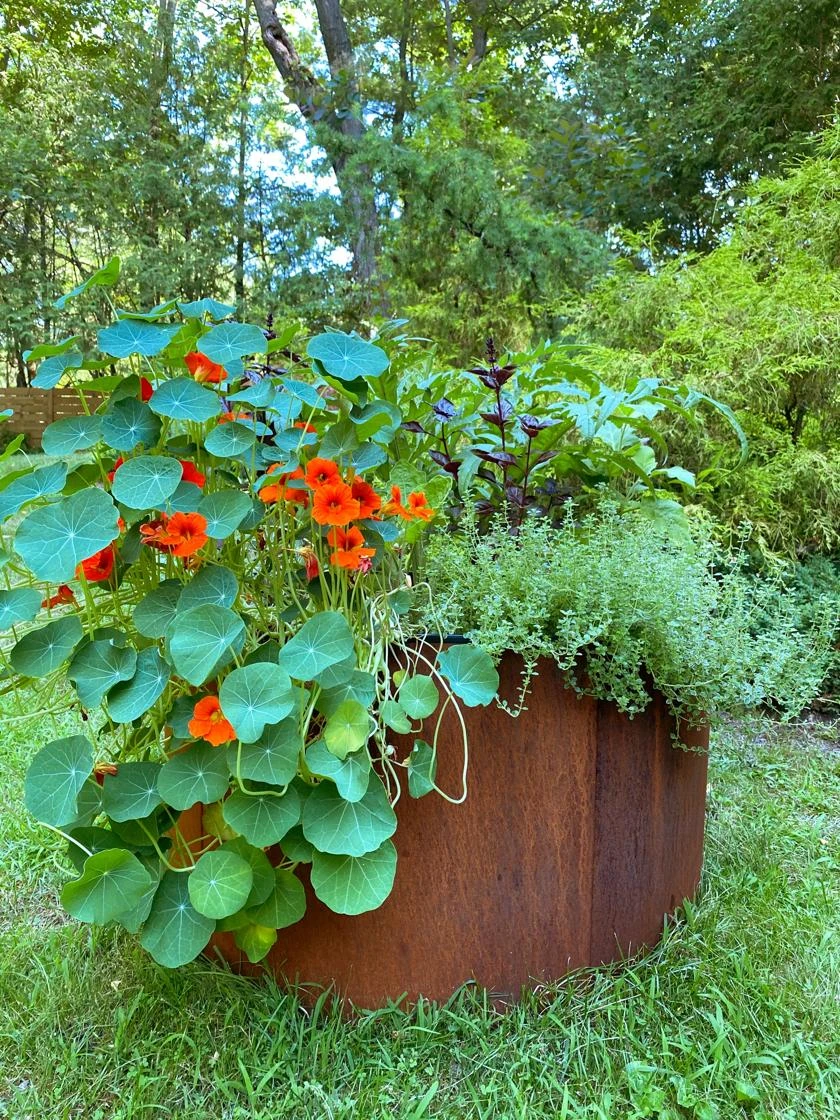 Birdies™ Corten Steel Round Raised Beds Birdies™ Corten Steel Round Raised Beds -Gardene Supply Sales 8612423 0488 tif
