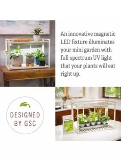 Tabletop Grow Kit 3 Tabletop Grow Kit -Gardene Supply Sales 8612507 4