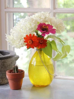 Achla Designs Teardrop Rooting Vase -Gardene Supply Sales 8612530ye 02v