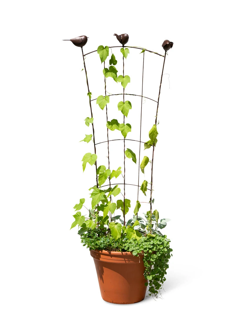 Flock of Friends Pot Trellis Flock Of Friends Pot Trellis -Gardene Supply Sales 8612635 0003