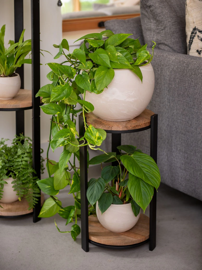 Double Tower Plant Stand Double Tower Plant Stand -Gardene Supply Sales 8612683 2228 double tower plant stand