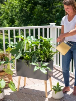 Ava Self-Watering Rectangular Planter 2 Ava Self-Watering Rectangular Planter -Gardene Supply Sales 8612691 0011 1