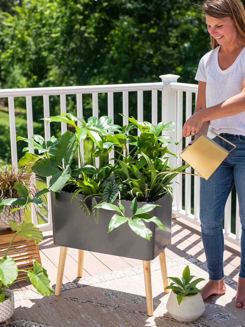 Ava Self-Watering Rectangular Planter Ava Self-Watering Rectangular Planter -Gardene Supply Sales 8612691 0011 1