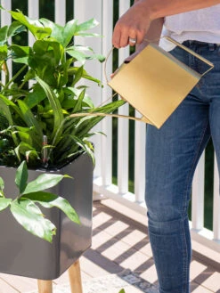 Precision Brass Watering Can -Gardene Supply Sales 8612691 0011