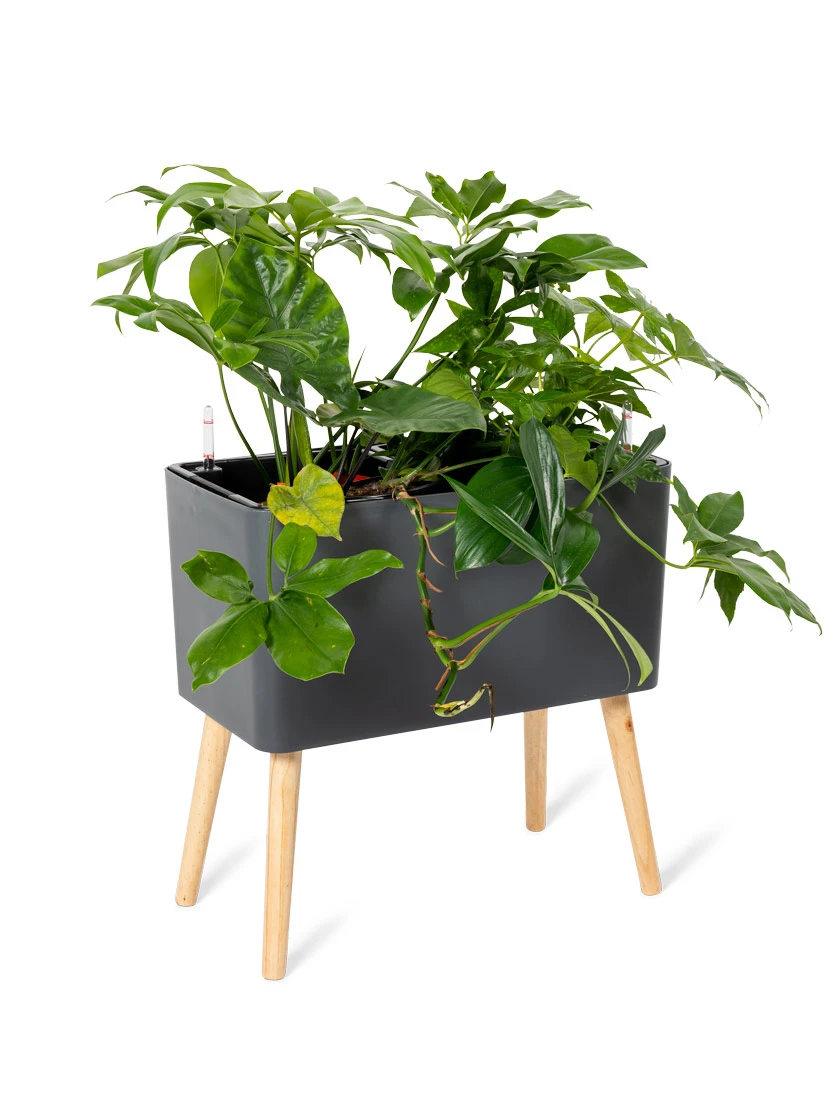 Ava Self-Watering Rectangular Planter Ava Self-Watering Rectangular Planter -Gardene Supply Sales 8612691 0013