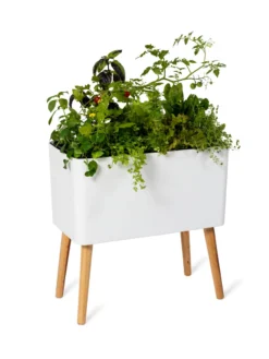 Ava Self-Watering Rectangular Planter 4 Ava Self-Watering Rectangular Planter -Gardene Supply Sales 8612691 0014