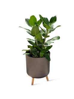 Ava Self-Watering Round Planter -Gardene Supply Sales 8612692 0003