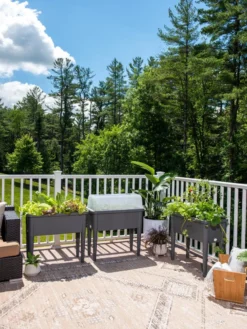 Self-Watering Standing Salad Planter With Cloche -Gardene Supply Sales 8612702 2002 tif