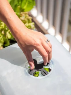 Self-Watering Standing Salad Planter With Cloche -Gardene Supply Sales 8612702 2034 tif