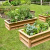 Craftsbury Raised Beds