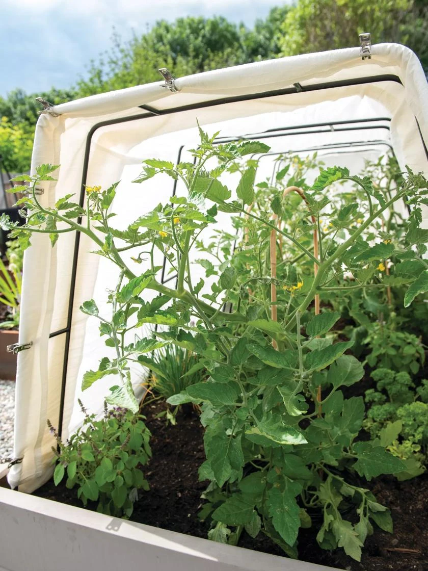 Cotton All Purpose Garden Cover Cotton All Purpose Garden Cover -Gardene Supply Sales 8612815 0038 tif