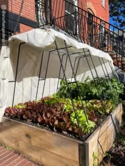 Cotton All Purpose Garden Cover 3 Cotton All Purpose Garden Cover -Gardene Supply Sales 8612816 01CUST