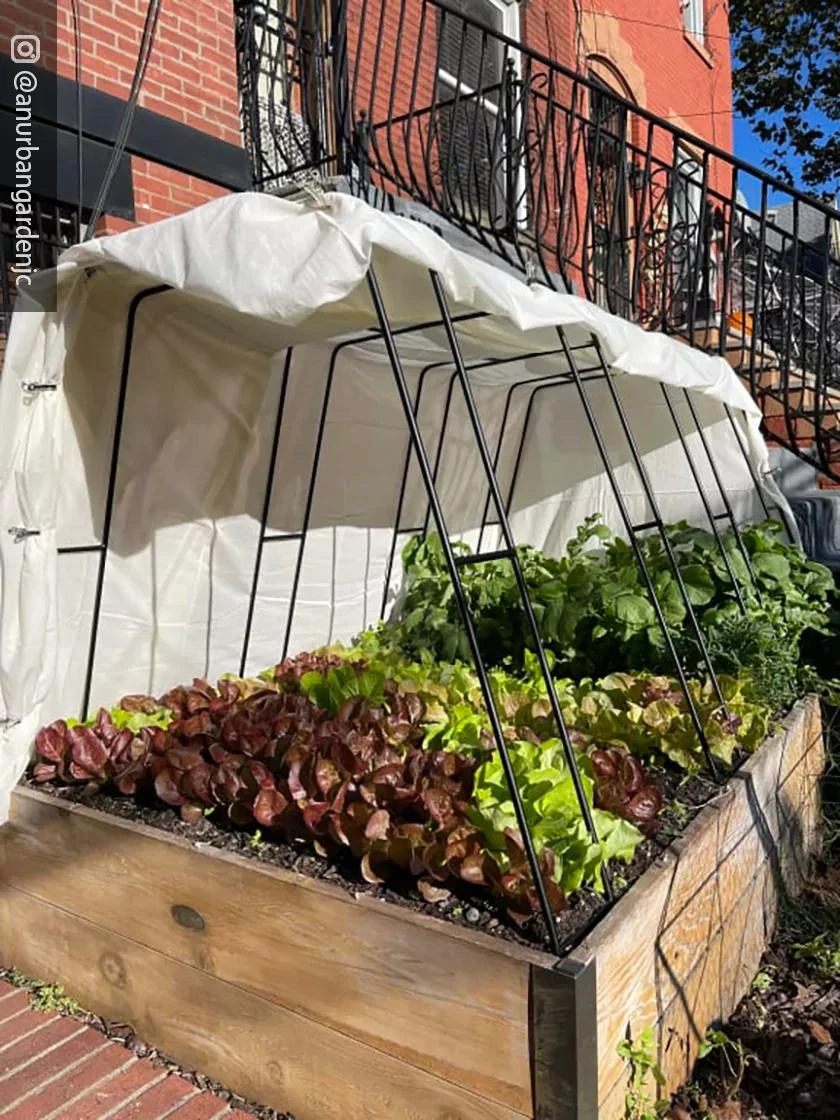 Cotton All Purpose Garden Cover Cotton All Purpose Garden Cover -Gardene Supply Sales 8612816 01CUST