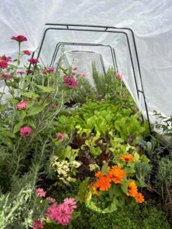 Zenith Garden Hoops, Set Of 4 -Gardene Supply Sales 8612816 01TEST 1