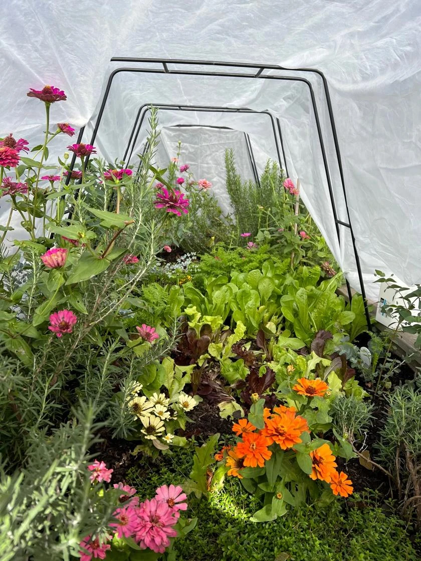 All-Purpose Garden Fabric All-Purpose Garden Fabric -Gardene Supply Sales 8612816 01TEST