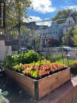 Zenith Garden Hoops, Set Of 4 -Gardene Supply Sales 8612816 02CUST