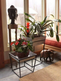 Achla Designs Arne Plant Stand -Gardene Supply Sales 8612900 03v