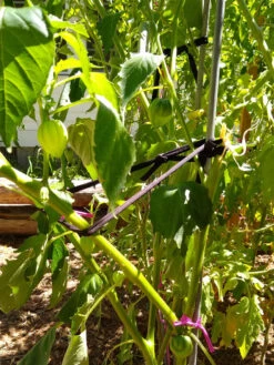 Farmyarn® Multipurpose Garden Tie, 2 Pack -Gardene Supply Sales 8612948 02v