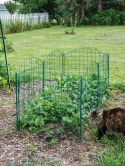 6 Panel Critter Fence With Gate -Gardene Supply Sales 8612967 2570 tif