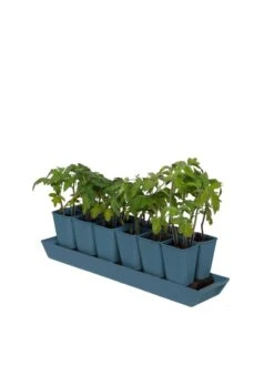 Gardener's Best® XL Seed Starting Kit -Gardene Supply Sales 8613066 0029