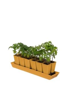 Gardener's Best® XL Seed Starting Kit -Gardene Supply Sales 8613066 1029